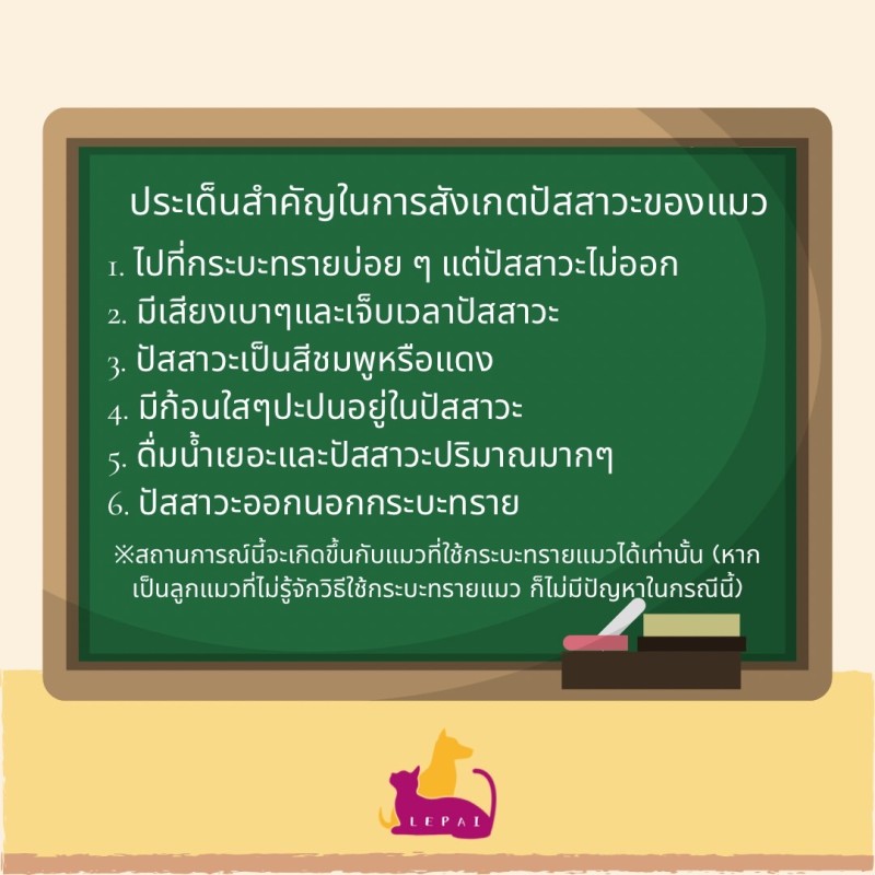 วิธีการใช้ทรายแมว เพื่อตรวจสอบให้แน่ใจถึงสถานะสุขภาพของแมว?