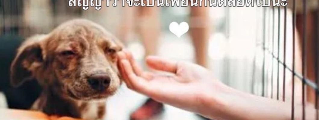 เดือนตุลาคม 