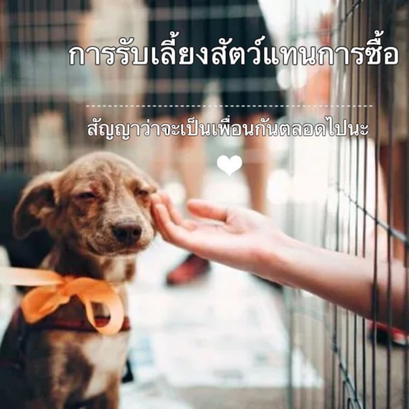 เดือนตุลาคม 