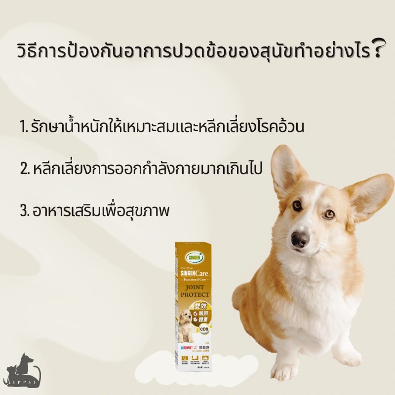 อาการปวดข้อของสุนัขจะป้องกันได้อย่างไร?