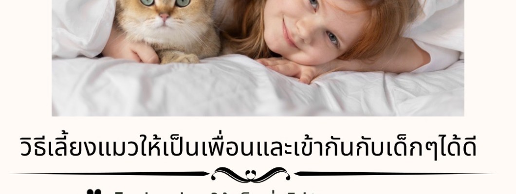 วิธีเลี้ยงแมวให้เป็นเพื่อนและเข้ากันกับเด็กๆได้ดี