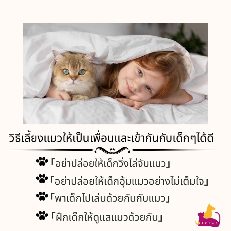 วิธีเลี้ยงแมวให้เป็นเพื่อนและเข้ากันกับเด็กๆได้ดี