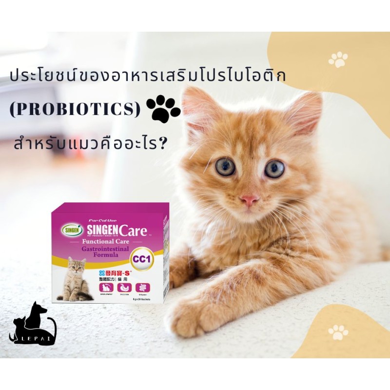 ประโยชน์ของอาหารเสริมโปรไบโอติก (Probiotics) สำหรับแมวคืออะไร?
