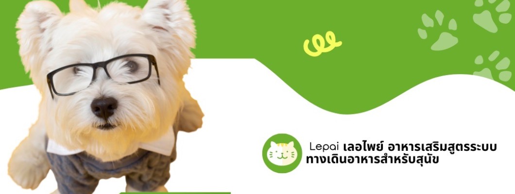 9 อันดับอาการของโรคกระเพาะอาหารและลำไส้อักเสบในสุนัข