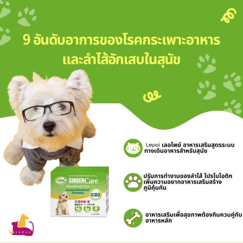 9 อันดับอาการของโรคกระเพาะอาหารและลำไส้อักเสบในสุนัข