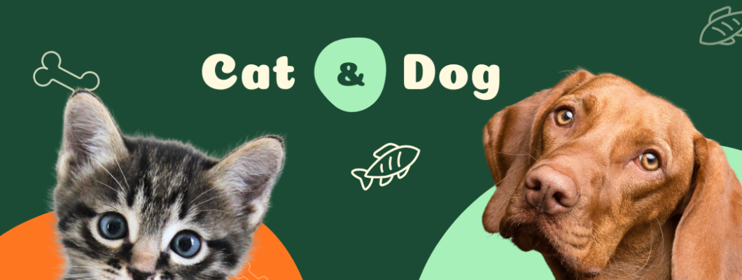 อากาศร้อนมากๆเลย จะทำยังไงดีนะถ้าสัตว์เลี้ยงแสนรักของเราไม่อยากกินอาหาร?