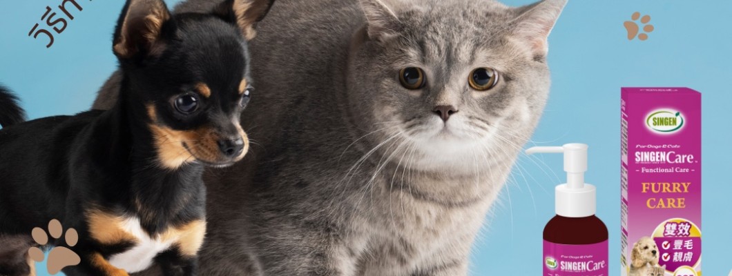 วิธีทำให้ขนน้องหมาแมวของคุณสวยและนุ่มนิ่ม?