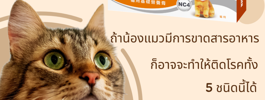 ถ้าน้องแมวมีการขาดสารอาหารก็อาจจะทำให้ติดโรคทั้ง 5 ชนิดนี้ได้