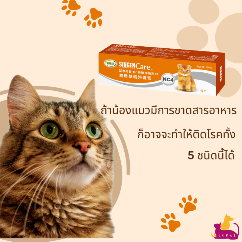 ถ้าน้องแมวมีการขาดสารอาหารก็อาจจะทำให้ติดโรคทั้ง 5 ชนิดนี้ได้