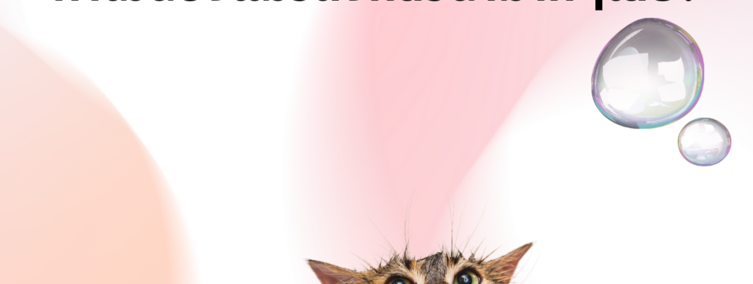 ทำไมน้องแมวถึงกลัวน้ำมากๆเลย?