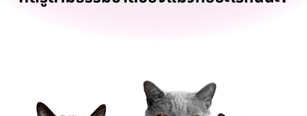 แมวมีศัตรูตามธรรมชาติหรือไม่? ศัตรูตามธรรมชาติของแมวคืออะไรกันนะ?