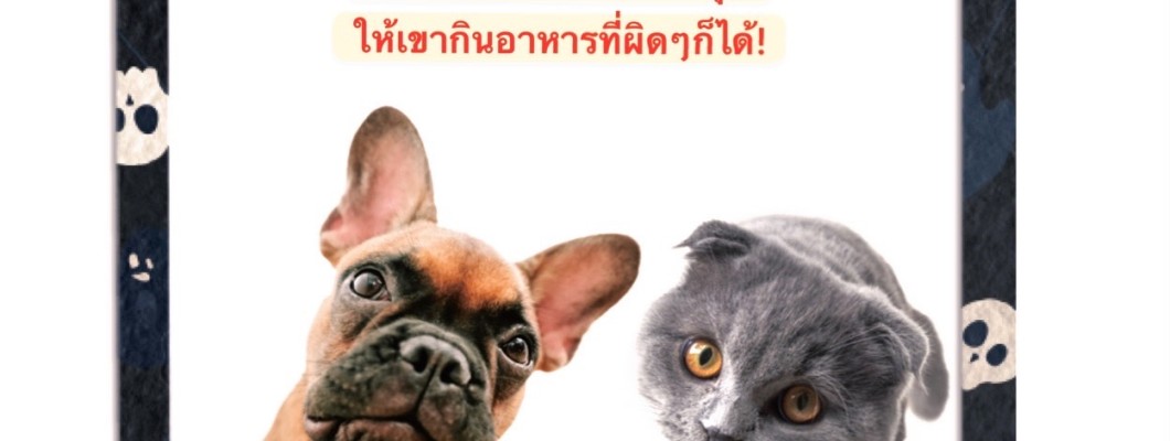 อย่าปล่อยให้สัตว์เลี้ยงของคุณกินอาหารเหล่านี้