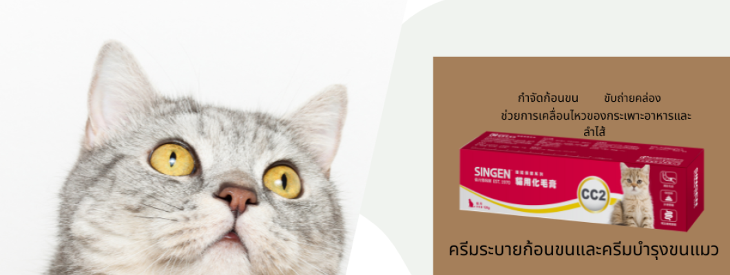 ทำไมน้องแมวถึงอ้วกก้อนขนออกมากันนะ?