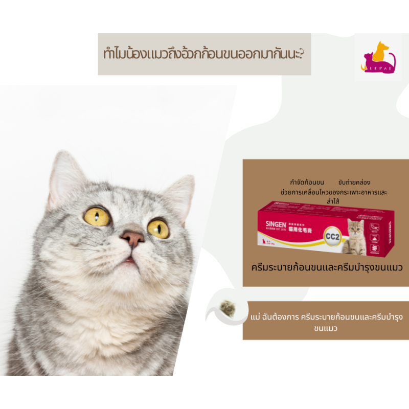 ทำไมน้องแมวถึงอ้วกก้อนขนออกมากันนะ?