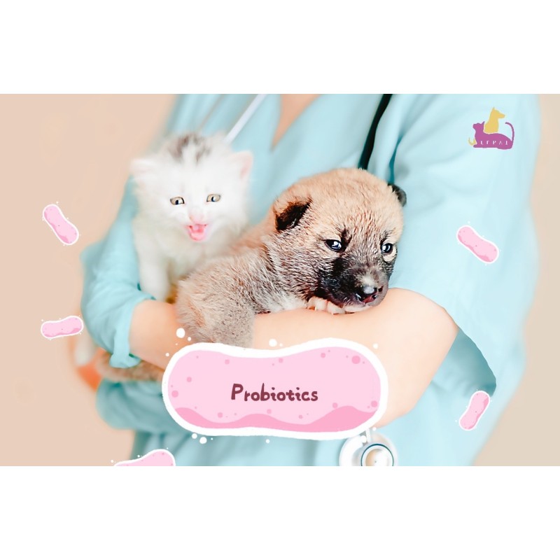 โปรไบโอติก (Probiotic) ที่เจ้าของสัตว์เลี้ยงมักจะถามบ่อยที่สุด Q/A
