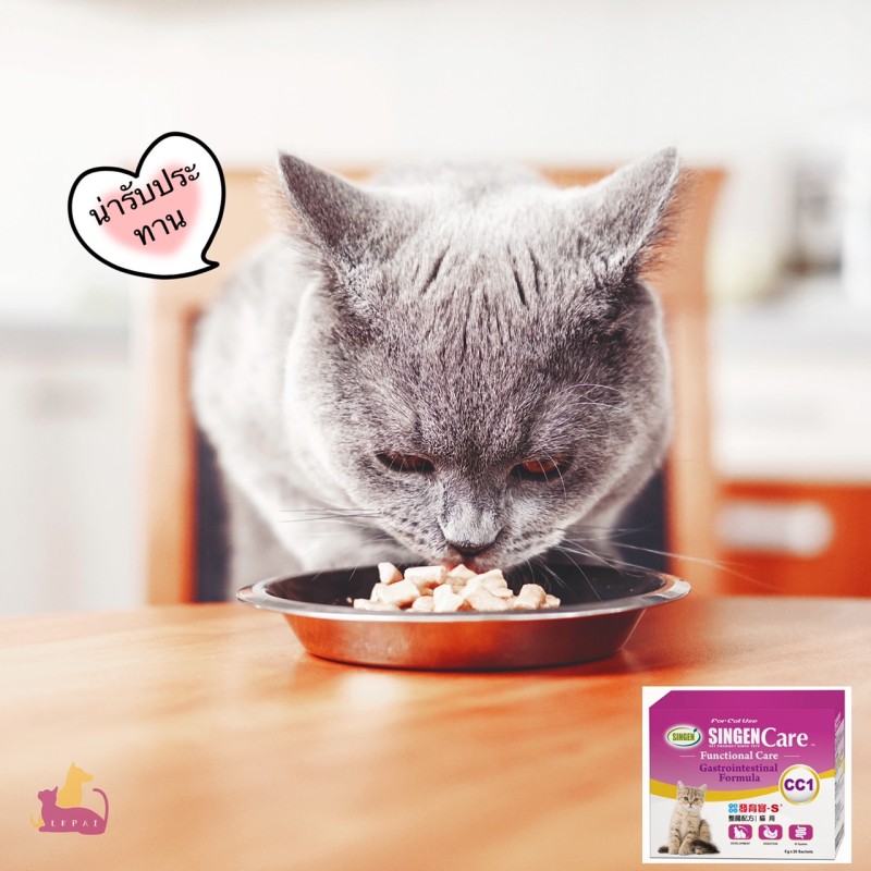 สัตว์เลี้ยงแสนรักกินอาหารสด  การเพิ่มผลิตภัณฑ์อาหารเสริมเพื่อสุขภาพควรทำอย่างนี้ค่ะ!