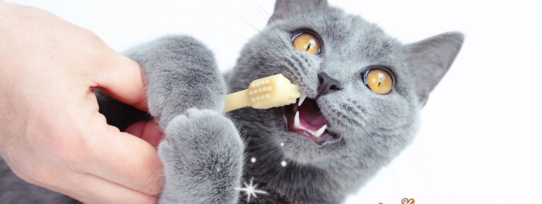 แปรงฟันให้ถูกวิธี