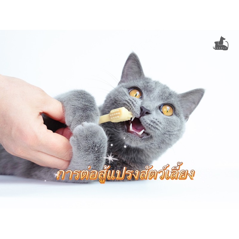 แปรงฟันให้ถูกวิธี