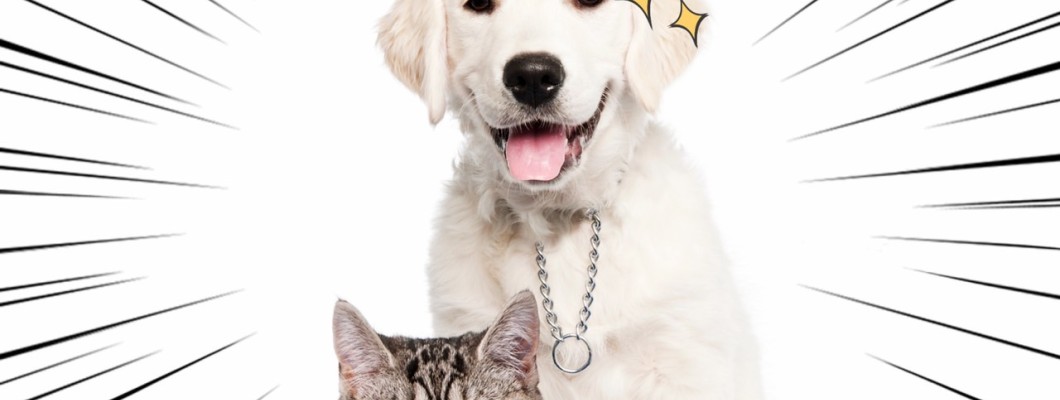 วิธีทำความสะอาดเมือกตาเด็กอย่างถูกต้อง