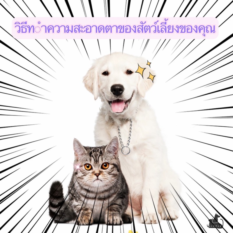 วิธีทำความสะอาดเมือกตาเด็กอย่างถูกต้อง