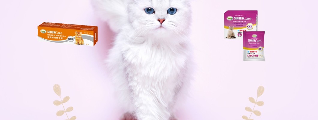 ในช่วงฤดูร้อนสัตว์เลี้ยงมักจะมีอาการคันและเกาตลอดไม่หยุดเลย ทำยังไงดีนะ?