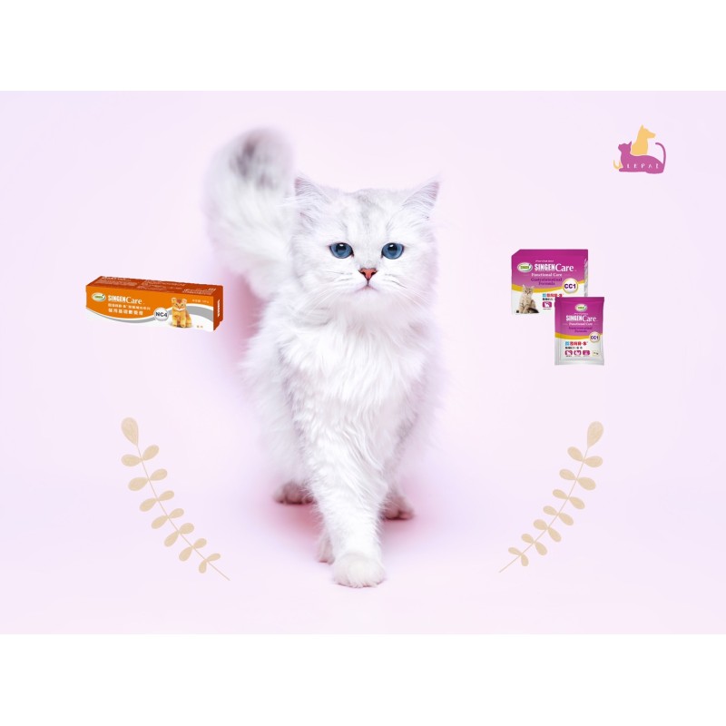 ในช่วงฤดูร้อนสัตว์เลี้ยงมักจะมีอาการคันและเกาตลอดไม่หยุดเลย ทำยังไงดีนะ?