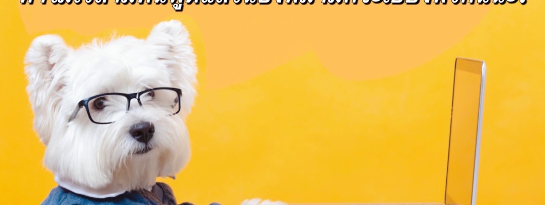 ทำไมเวลามีคนพูดแล้วน้องหมามักจะเอียงหัวกันนะ?