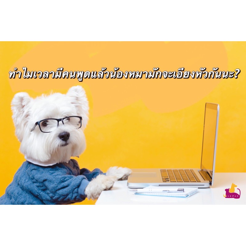 ทำไมเวลามีคนพูดแล้วน้องหมามักจะเอียงหัวกันนะ?