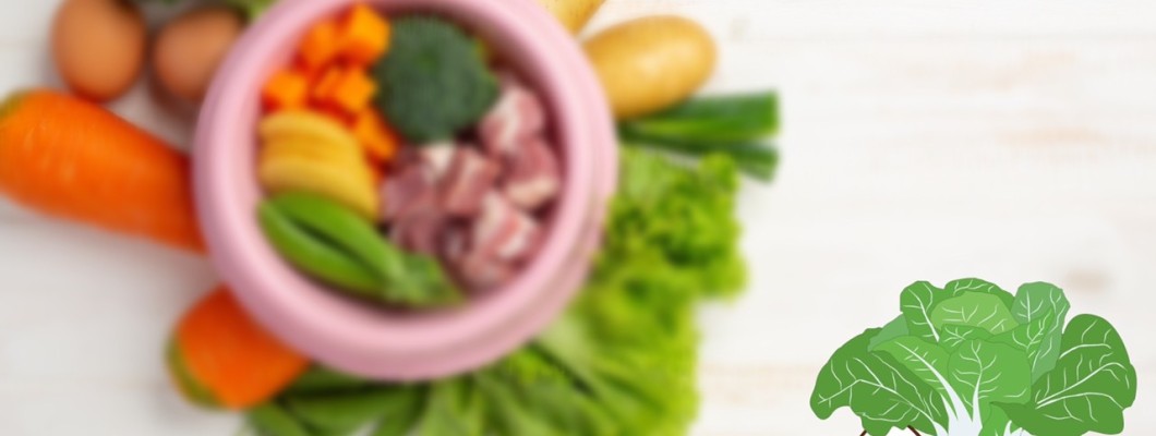 น้องแมวจำเป็นต้องกินผักรึเปล่า?