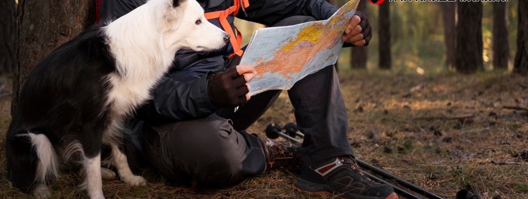 น้องหมาจำทางได้ยังไงกันนะ?