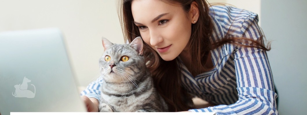 (ทำงานที่บ้าน) ทำไมน้องหมาและน้องแมวของฉันถึงมักจะรบกวนการทำงานของฉันกันนะ?