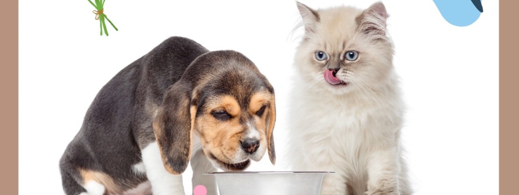 อาหาร 4 ชนิดที่จะทำให้สัตว์เลี้ยงแสนรักของคุณมีความสุขยิ่งขึ้นเมื่อได้กิน!