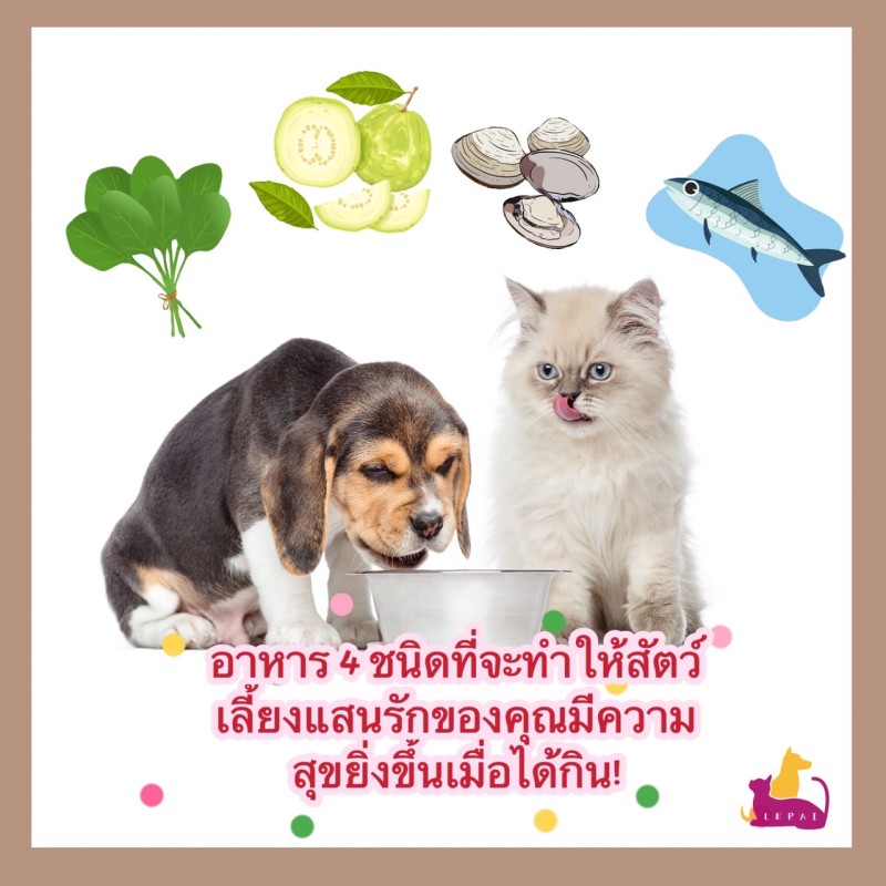 อาหาร 4 ชนิดที่จะทำให้สัตว์เลี้ยงแสนรักของคุณมีความสุขยิ่งขึ้นเมื่อได้กิน!