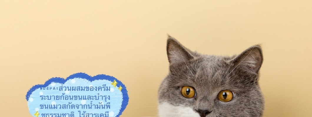 แมวกินขนเข้าไปในท้อง จะเป็นยังไงนะ?