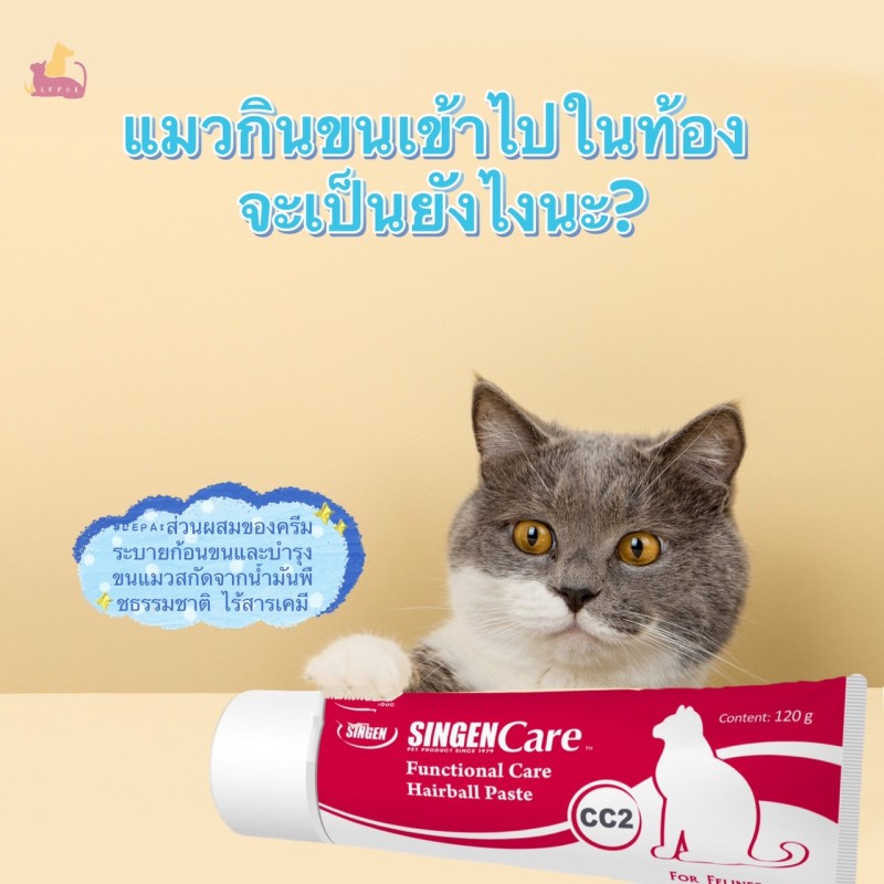 แมวกินขนเข้าไปในท้อง จะเป็นยังไงนะ?