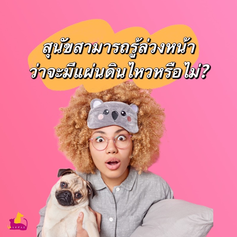 สุนัขสามารถรู้ล่วงหน้าว่าจะมีแผ่นดินไหวหรือไม่?