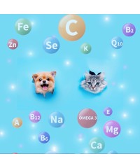 โภชนาการที่สมดุล