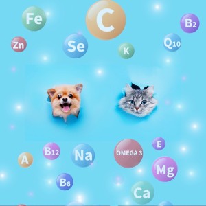 โภชนาการที่สมดุล