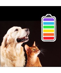 พลังและการซ่อมแซม