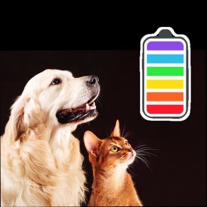 พลังและการซ่อมแซม