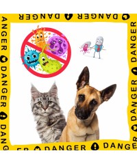 สุขภาพลำไส้