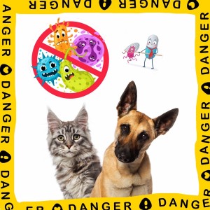 สุขภาพลำไส้