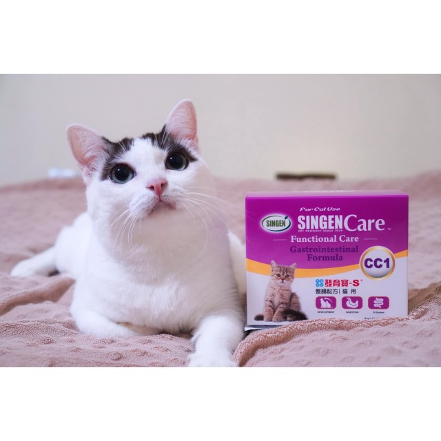 สูตรระบบทางเดินอาหาร สำหรับแมว