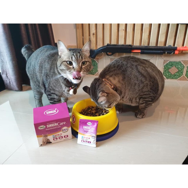 สูตรระบบทางเดินอาหาร สำหรับแมว