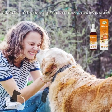 บำรุงหัวใจ คิวเทน (Q10)  สำหรับสุนัข