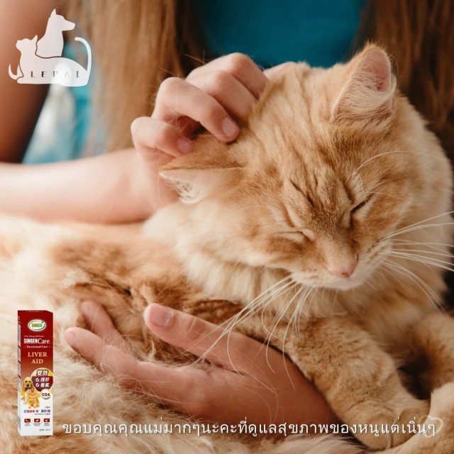 สูตรบำรุงตับ สำหรับสุนัขและแมว
