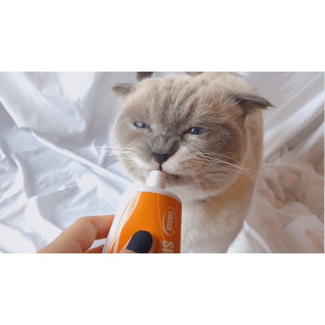 บำรุงขั้นพื้นฐาน ชนิดหลอด สำหรับแมว